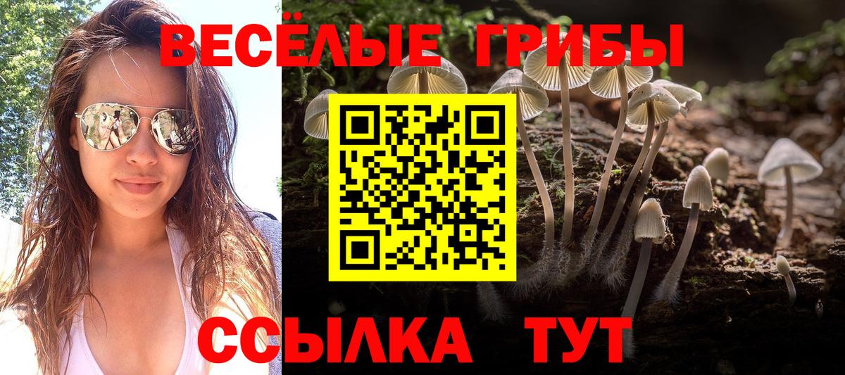 Псилоцибиновые грибы Cubensis  Псилоцибиновые грибы GOLDEN TEACHER  Краснокаменск  Вход с VPN 